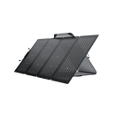 Panneau solaire bifacial EcoFlow 220 W